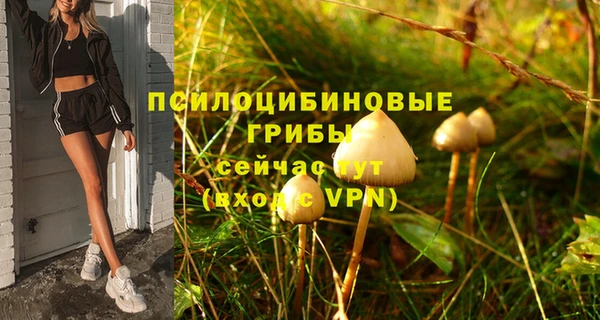 ALPHA-PVP Богданович