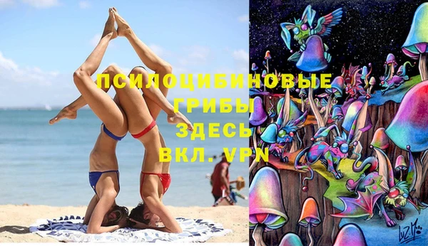 синтетический гашиш Богородицк