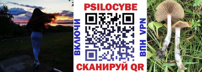 Галлюциногенные грибы ЛСД  Щучье 